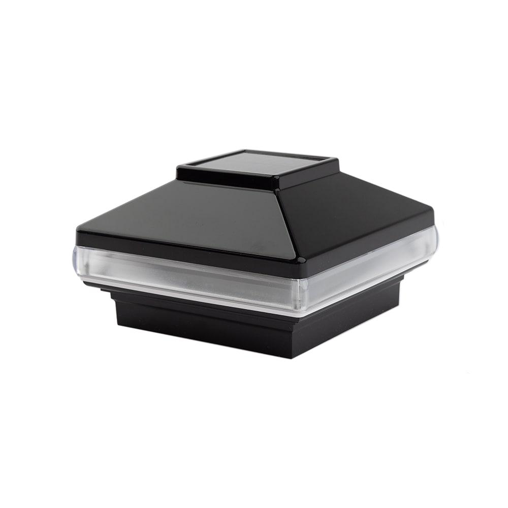 A single green leaf against a white background.