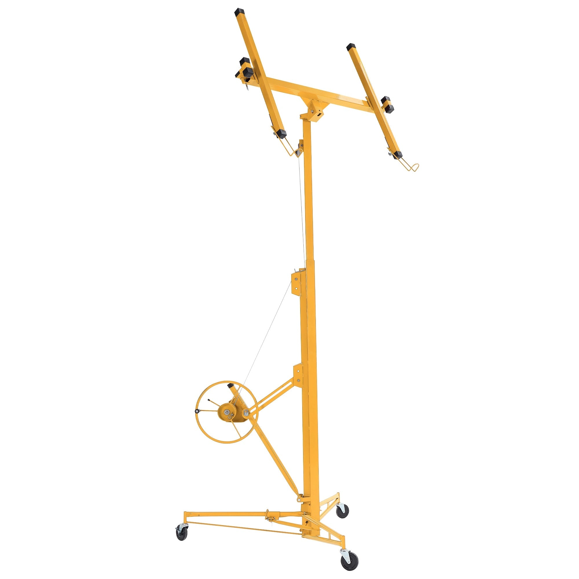 A single green leaf against a white background.