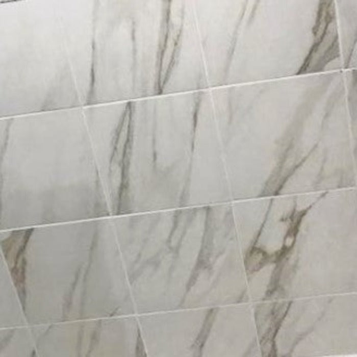 A single green leaf against a white background.