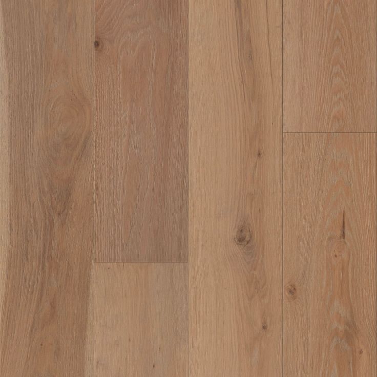 A single green leaf against a white background.