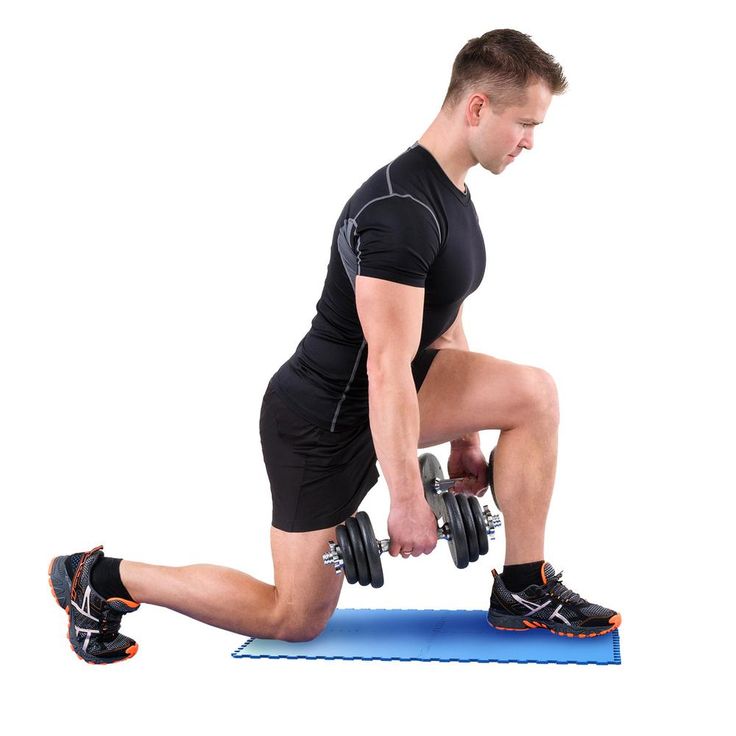 A single green leaf against a white background.