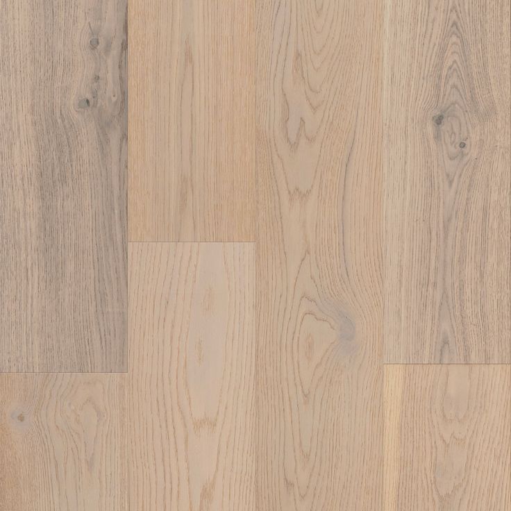 A single green leaf against a white background.