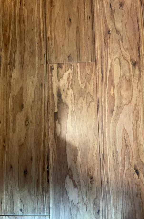 A single green leaf against a white background.