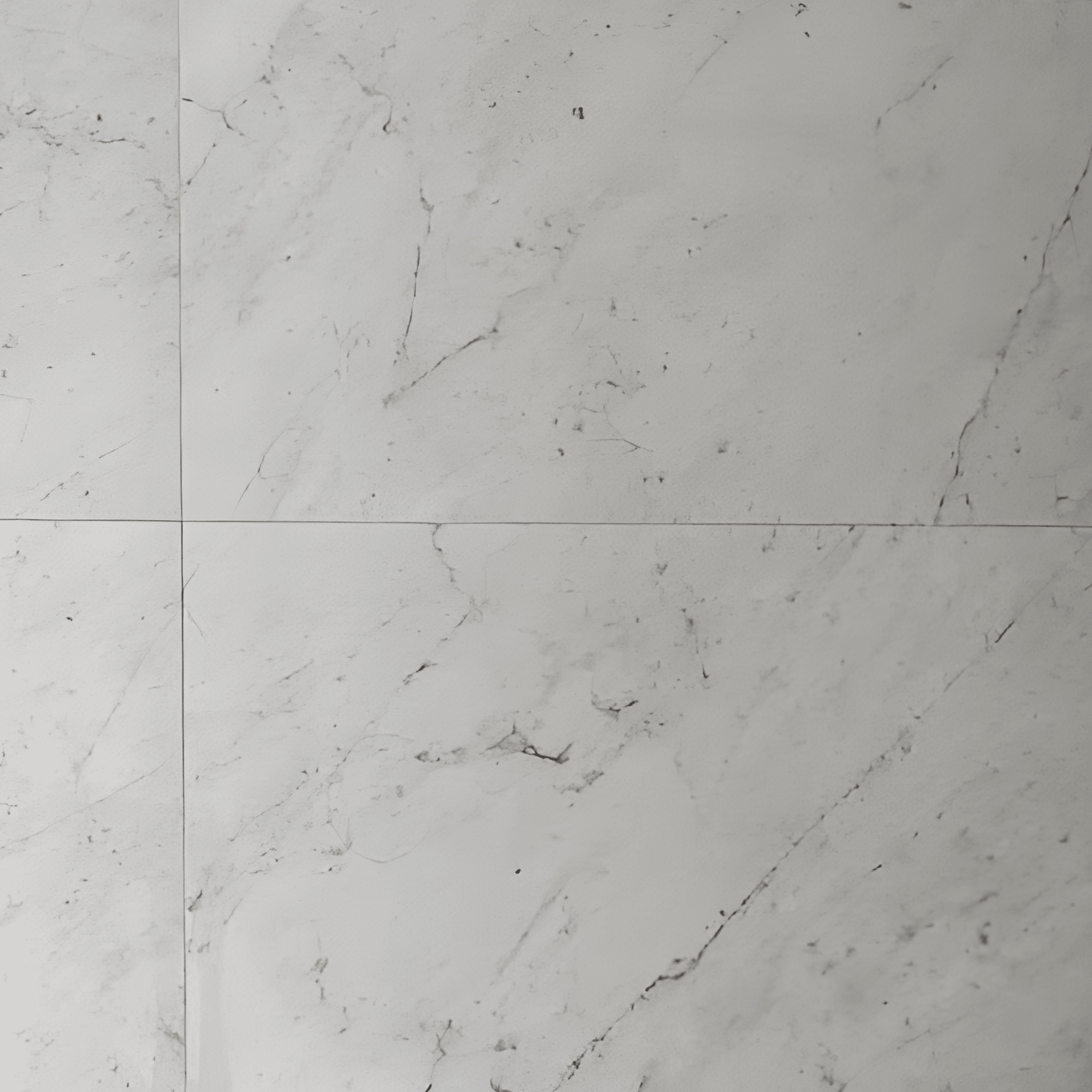 A single green leaf against a white background.