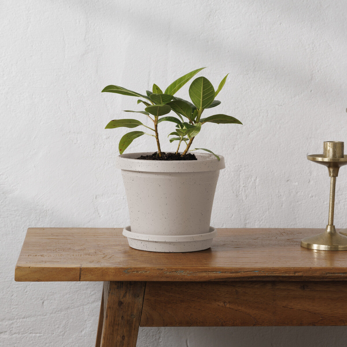 stone plant saucer Bloem Terra Plant Saucer Tray for Planters 9-12" Pebble Stone – Super Arbor
