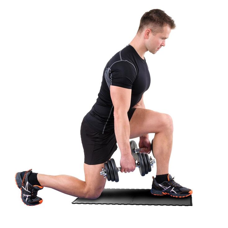 A single green leaf against a white background.