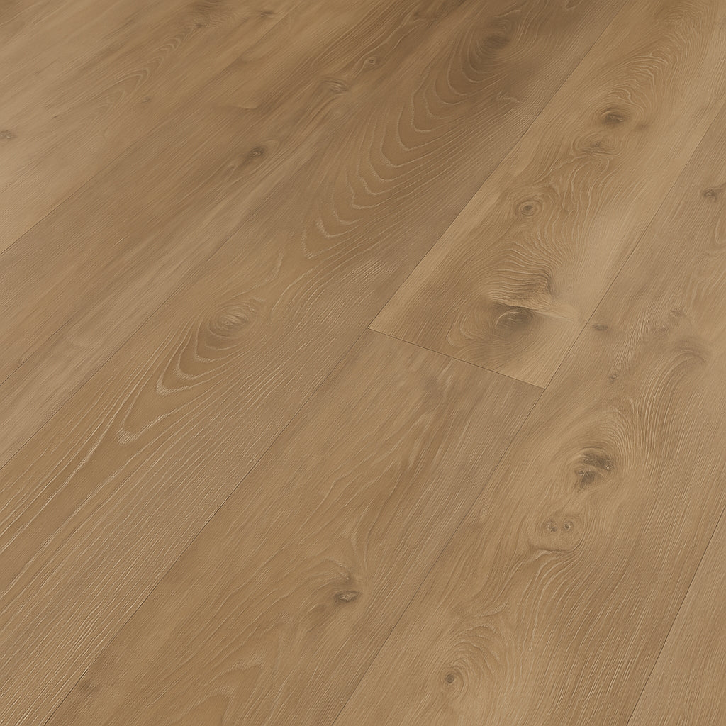 A single green leaf against a white background.