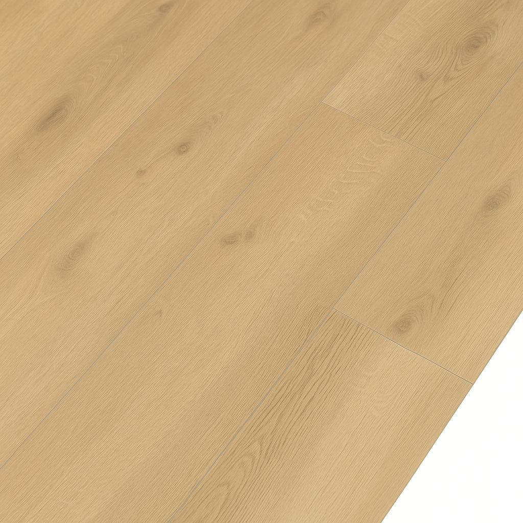 A single green leaf against a white background.