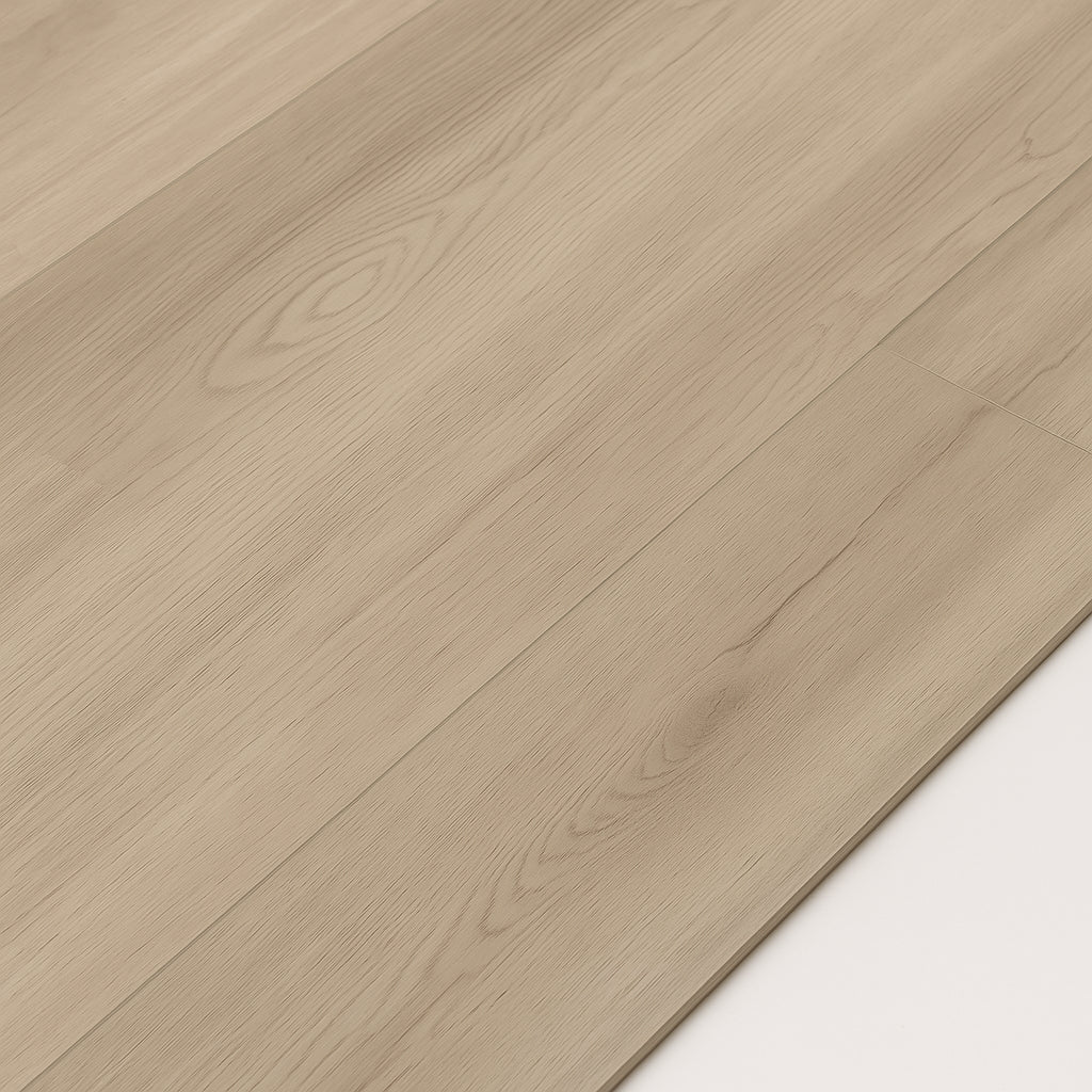 A single green leaf against a white background.