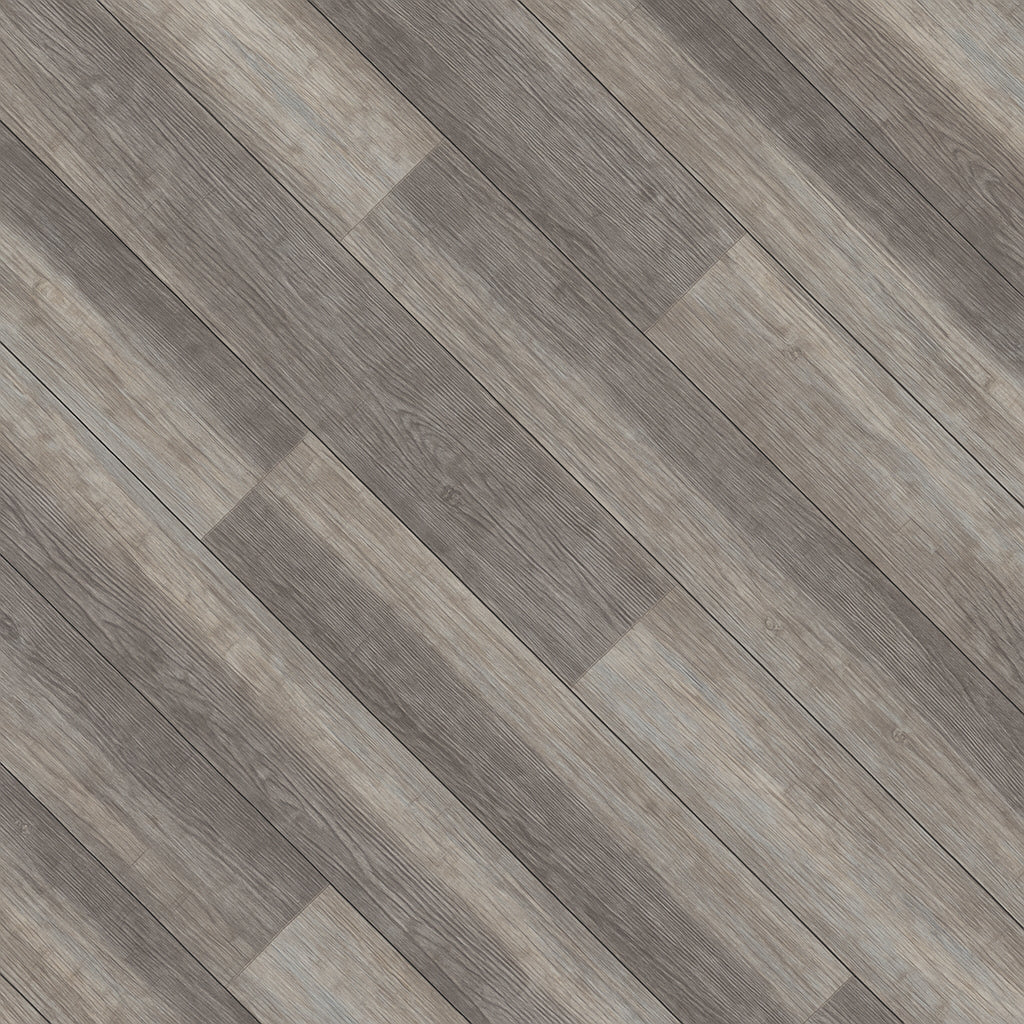 A single green leaf against a white background.