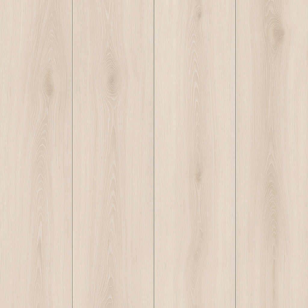 A single green leaf against a white background.