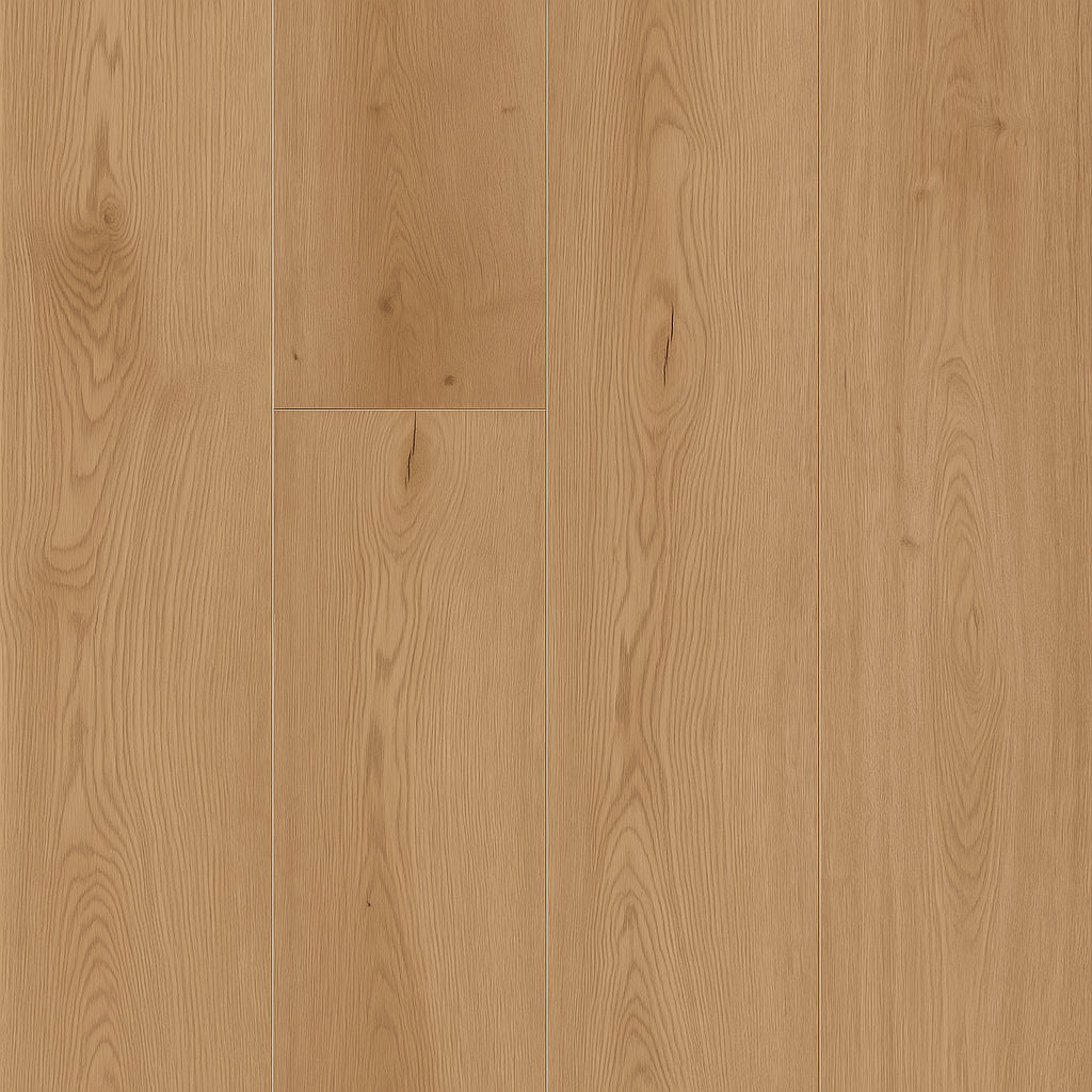 A single green leaf against a white background.