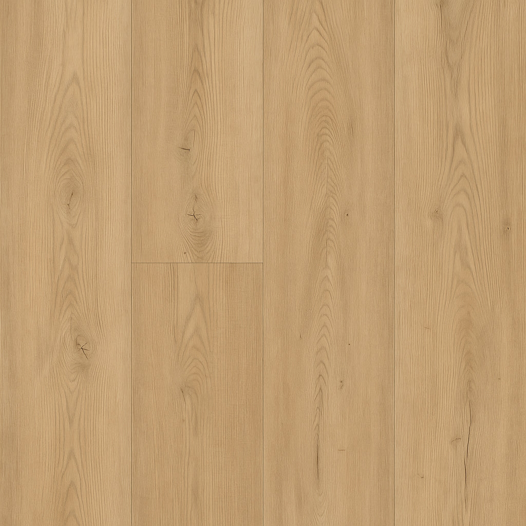 A single green leaf against a white background.