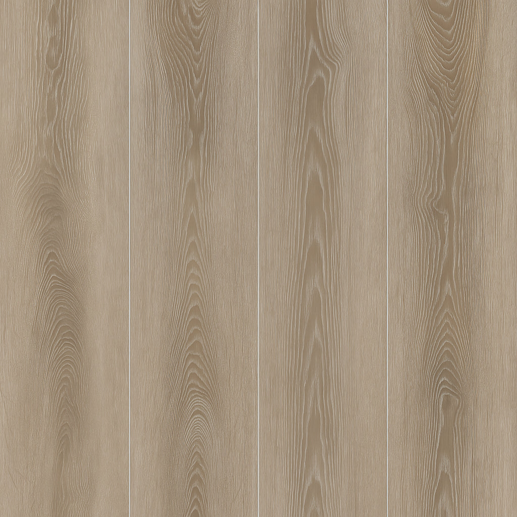 A single green leaf against a white background.