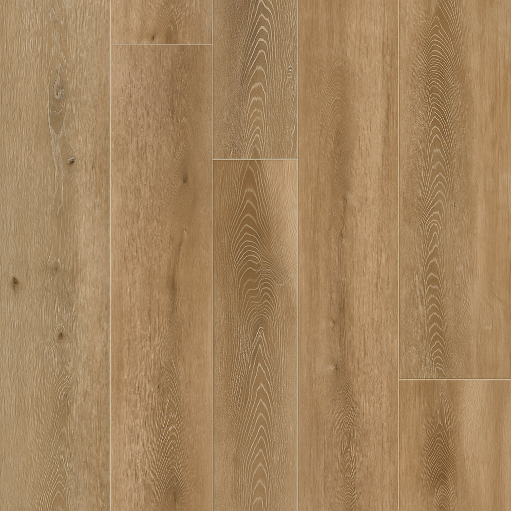 A single green leaf against a white background.