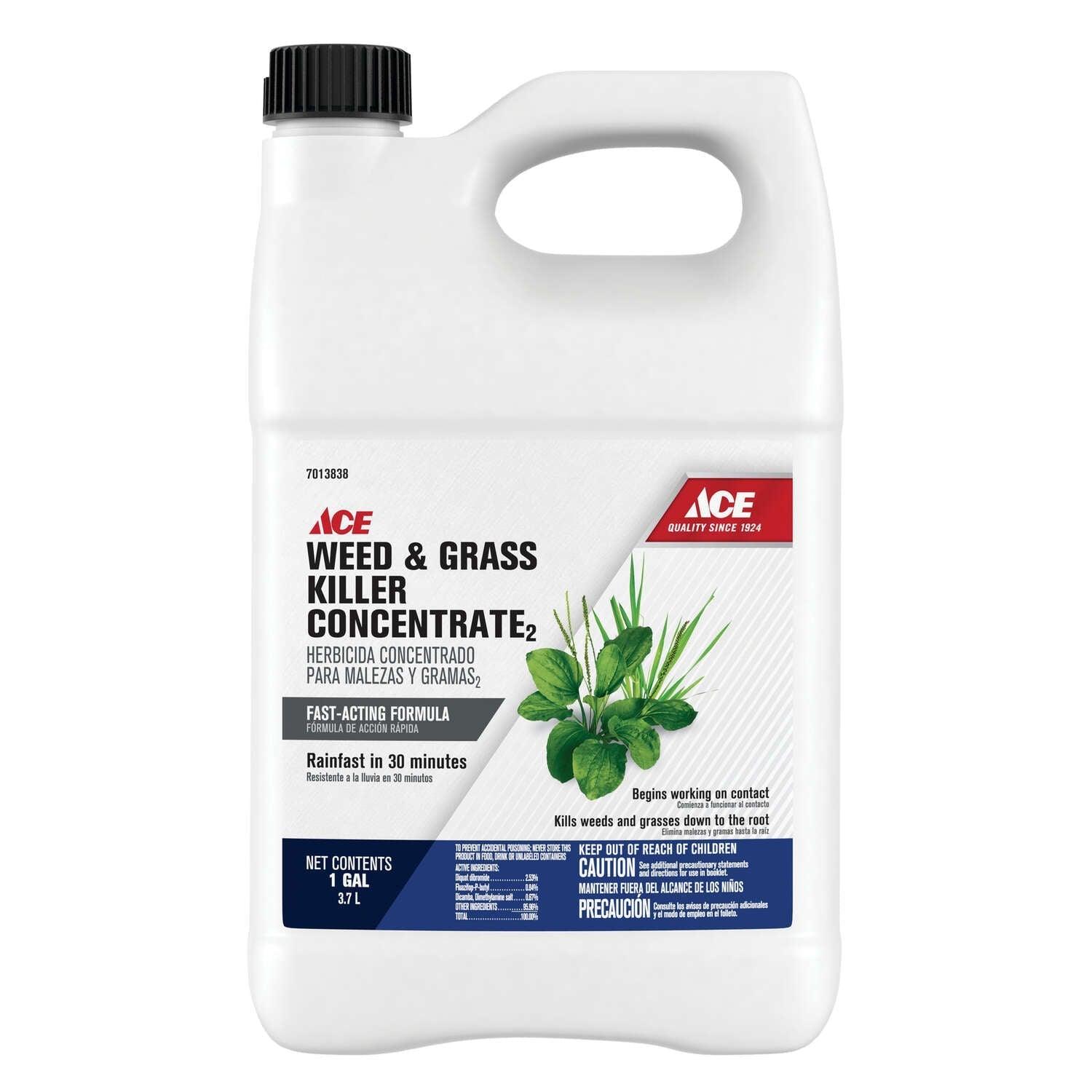 ace herbicide Ace Weed and Grass Killer Concentrate 1 gal