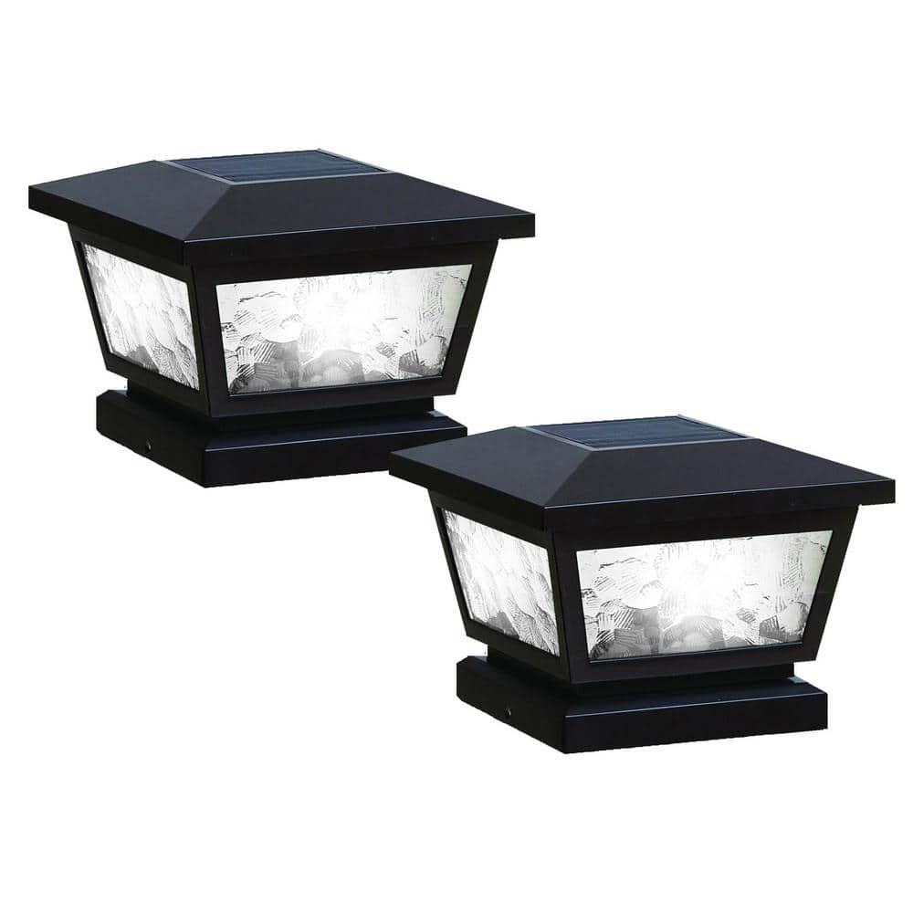 A single green leaf against a white background.