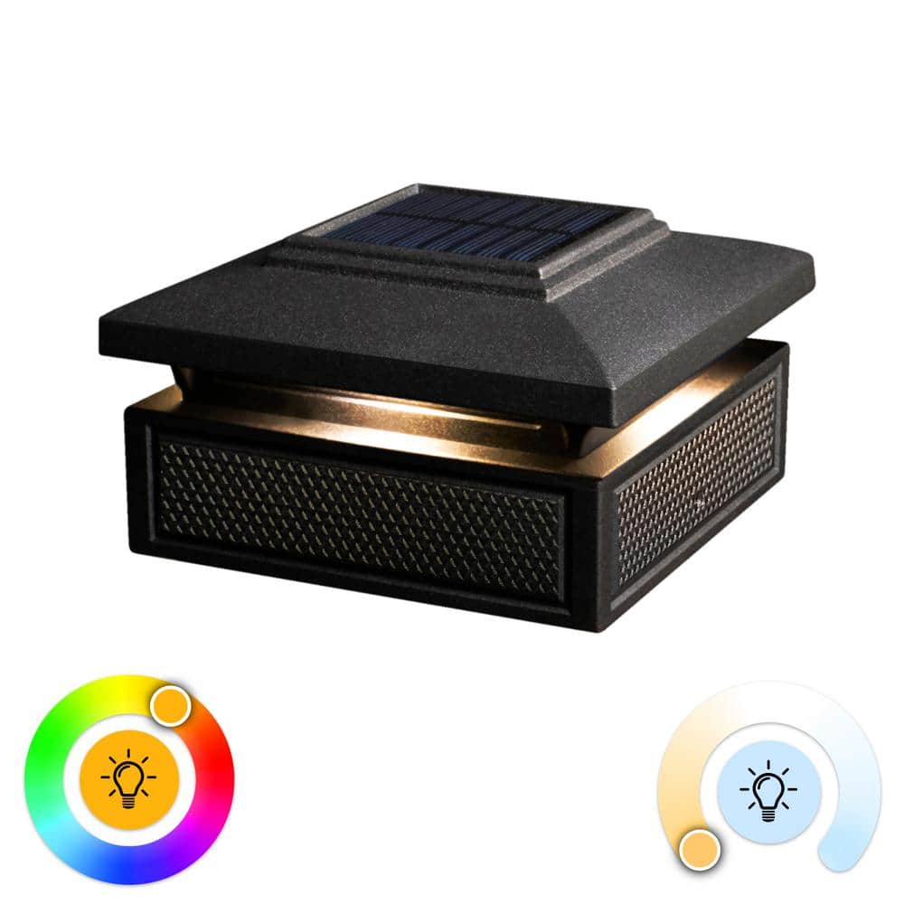 A single green leaf against a white background.