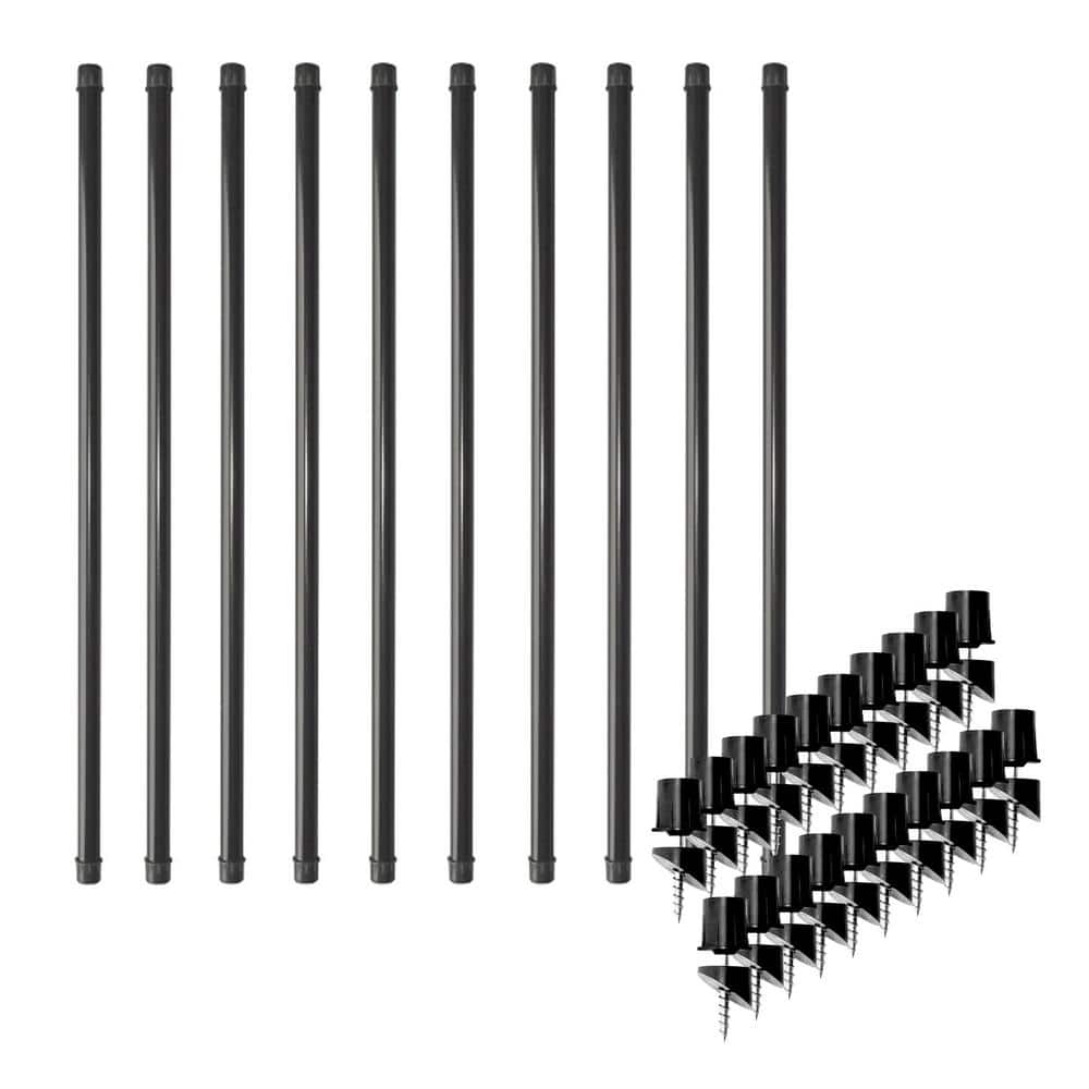 A single green leaf against a white background.