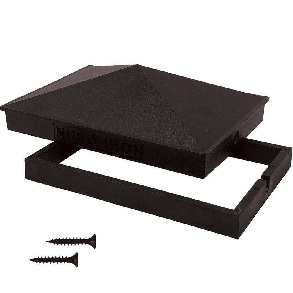 A single green leaf against a white background.