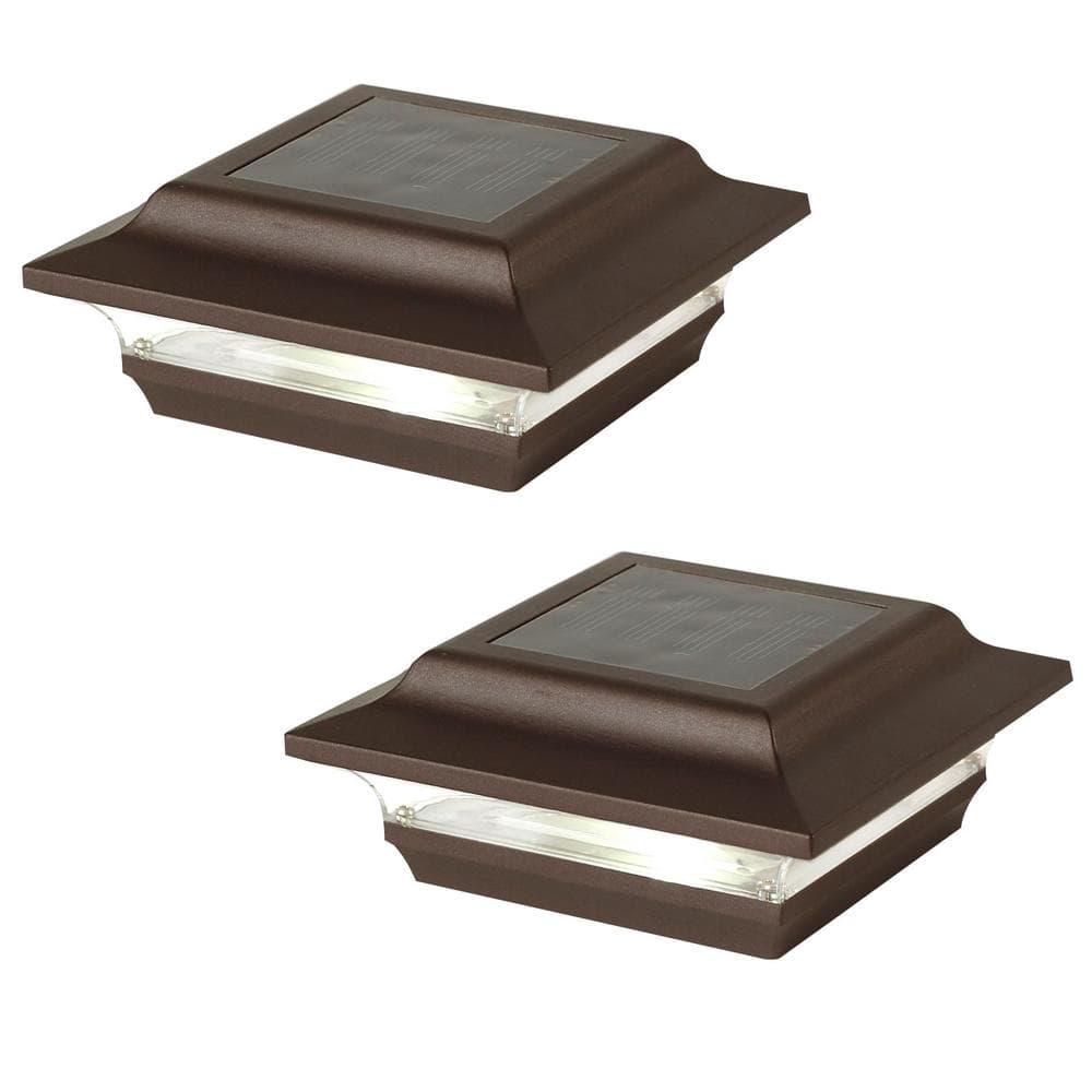 A single green leaf against a white background.