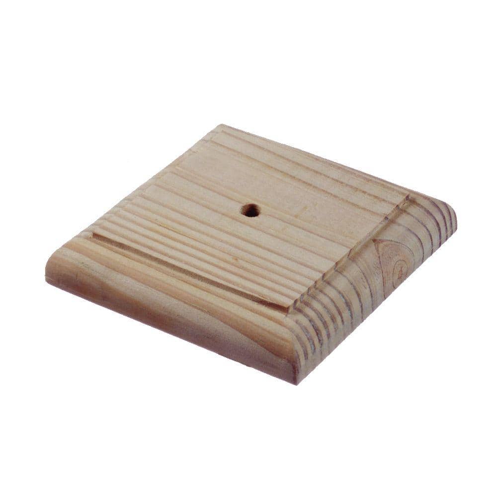 A single green leaf against a white background.