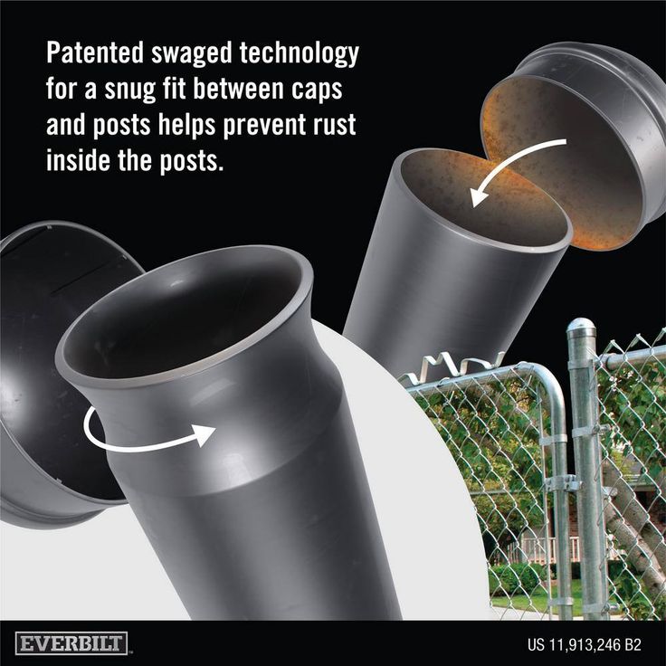 A single green leaf against a white background.