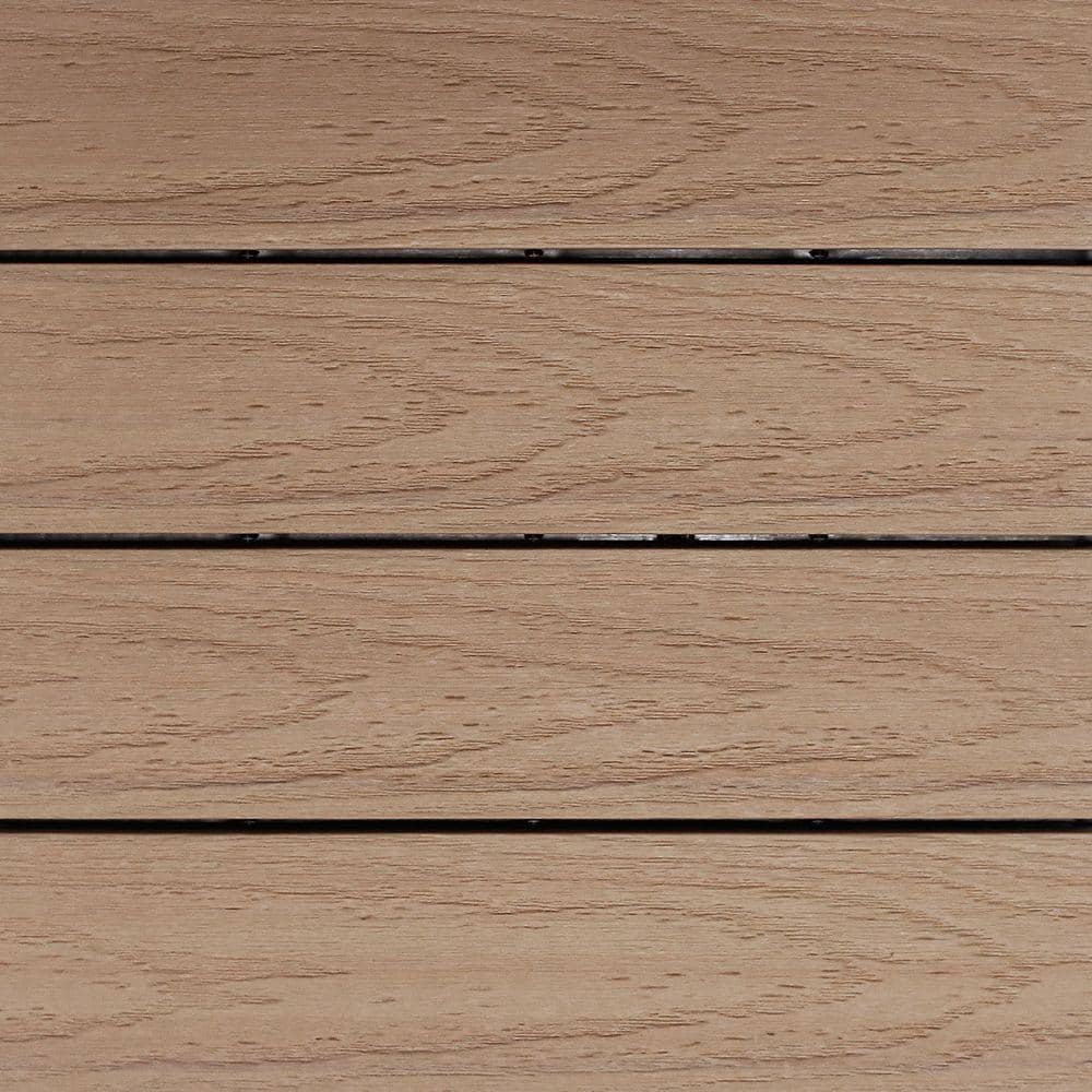 A single green leaf against a white background.