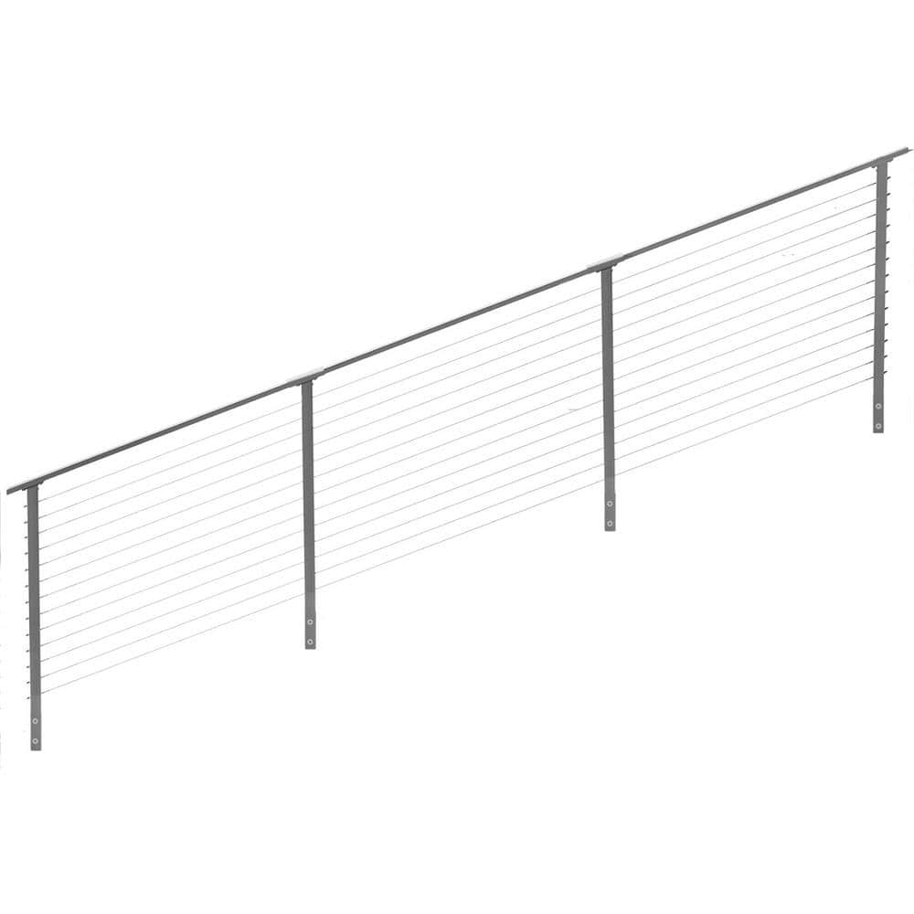 A single green leaf against a white background.