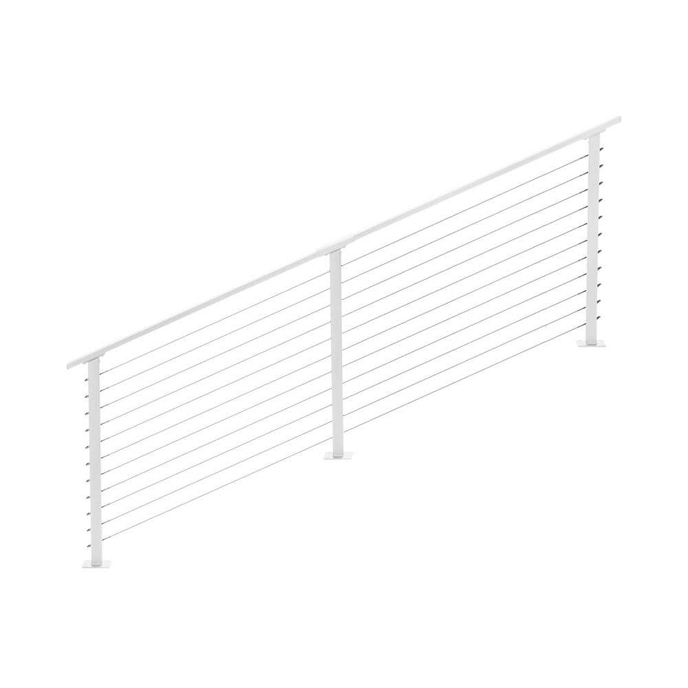 A single green leaf against a white background.