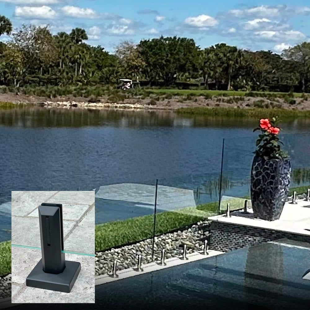 A single green leaf against a white background.