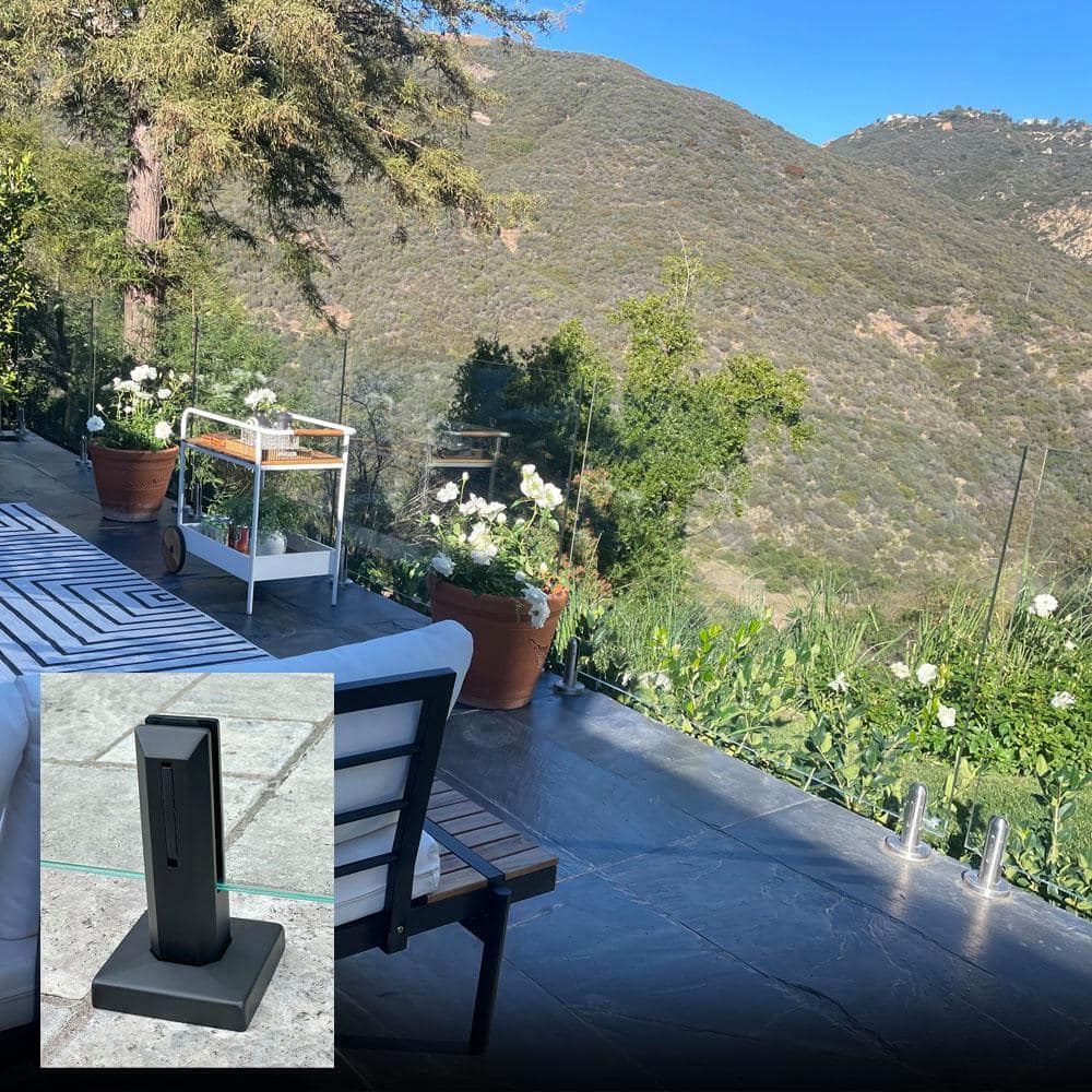 A single green leaf against a white background.