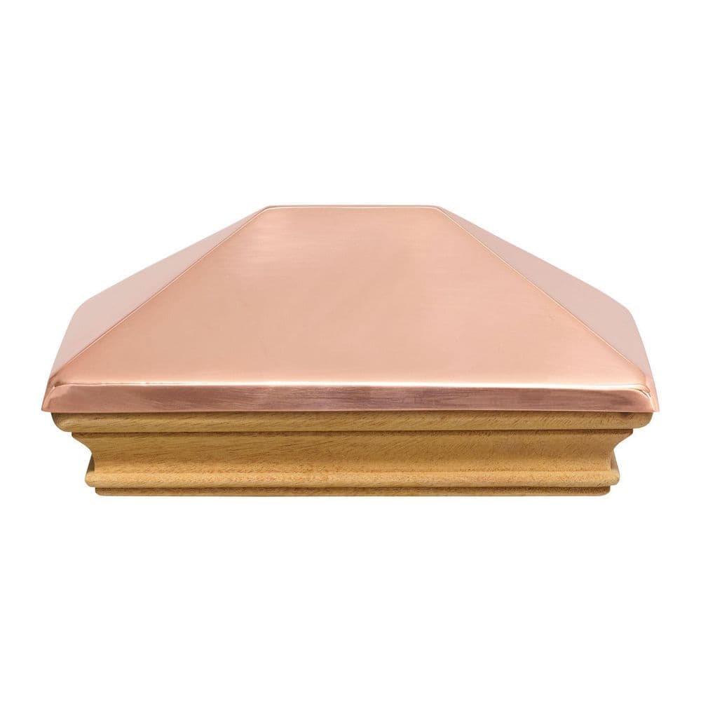 A single green leaf against a white background.