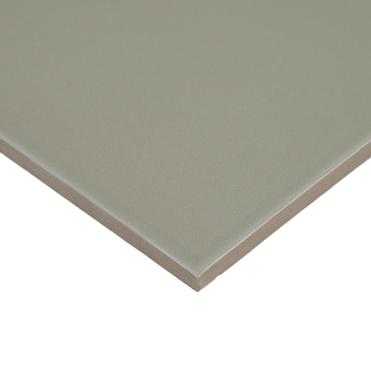 A single green leaf against a white background.