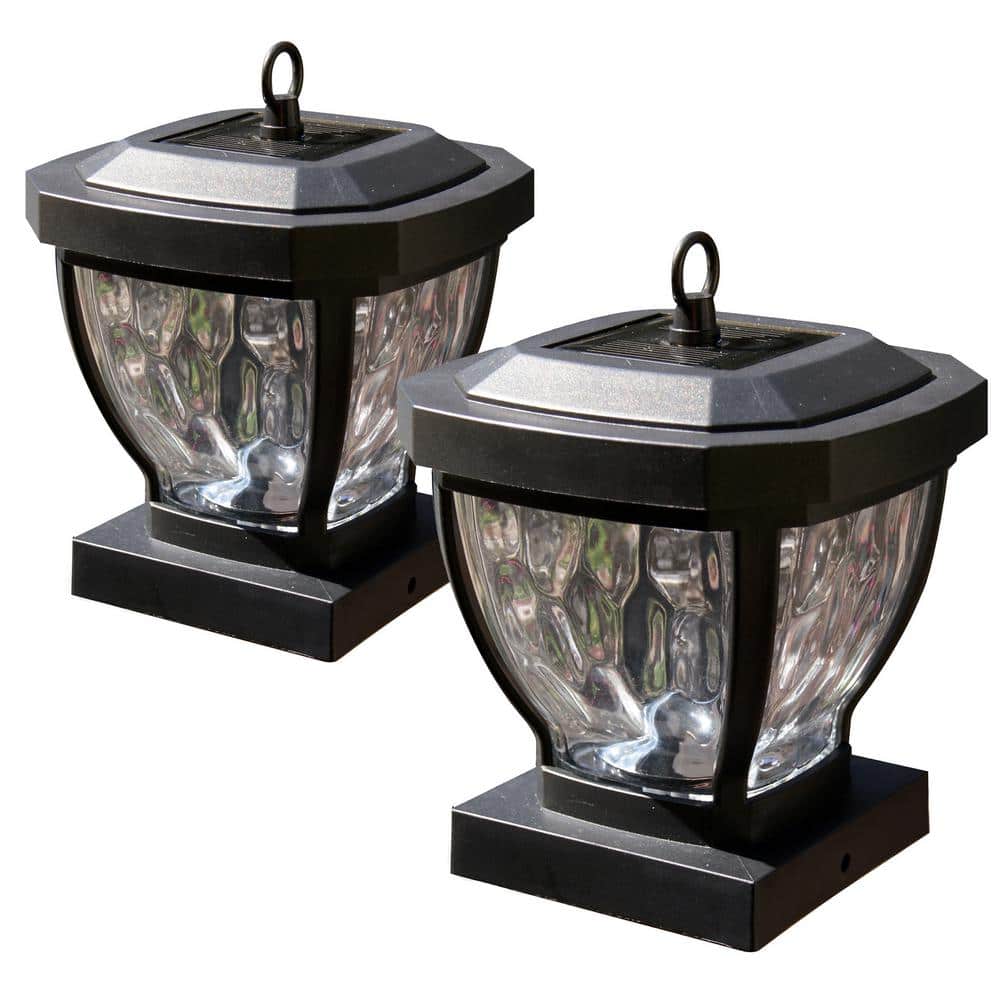 A single green leaf against a white background.