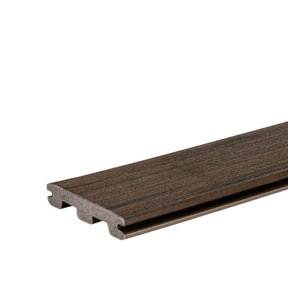 A single green leaf against a white background.