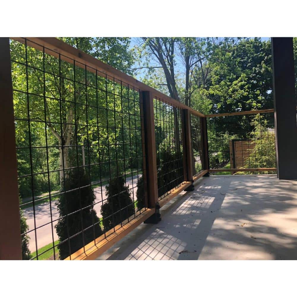 A single green leaf against a white background.