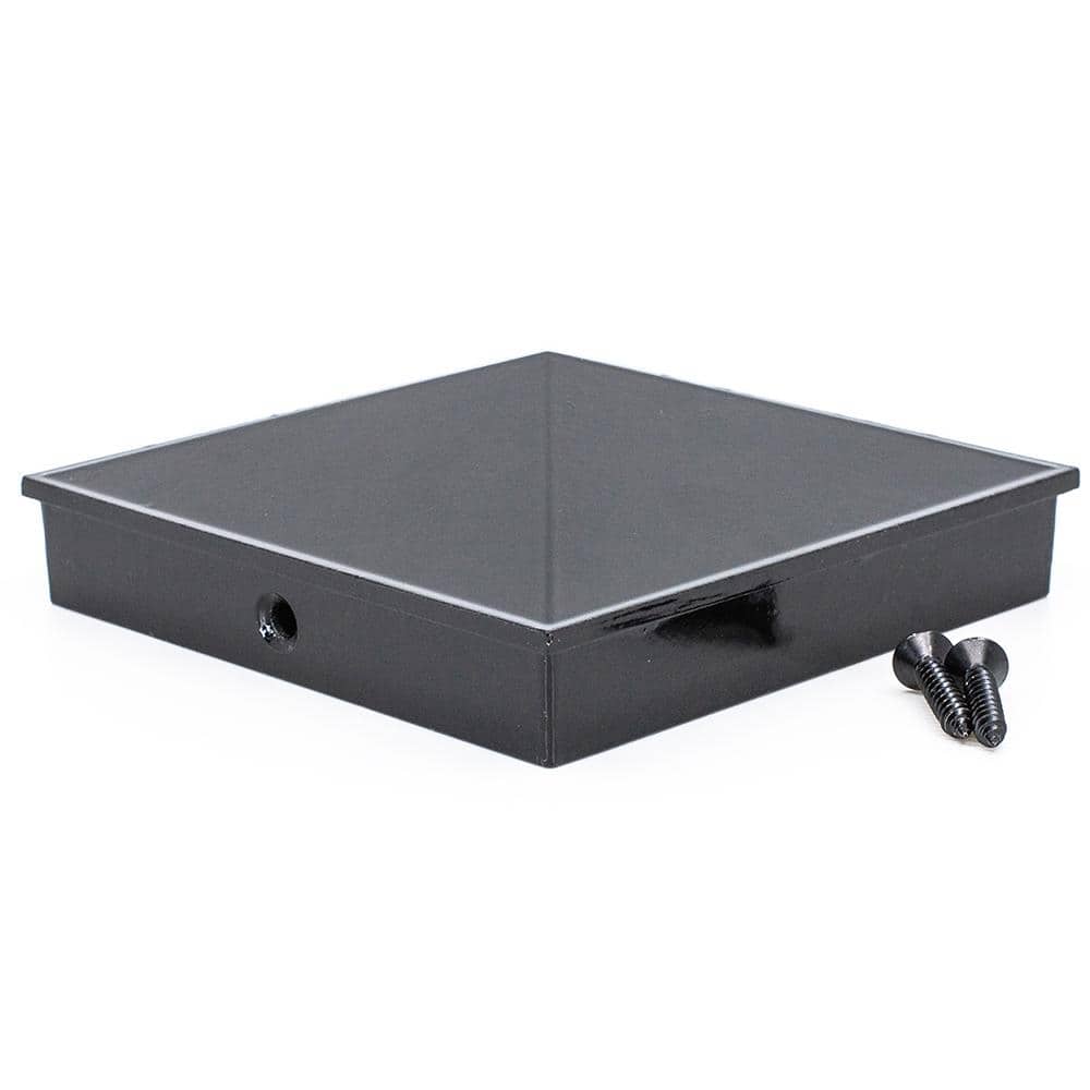 A single green leaf against a white background.