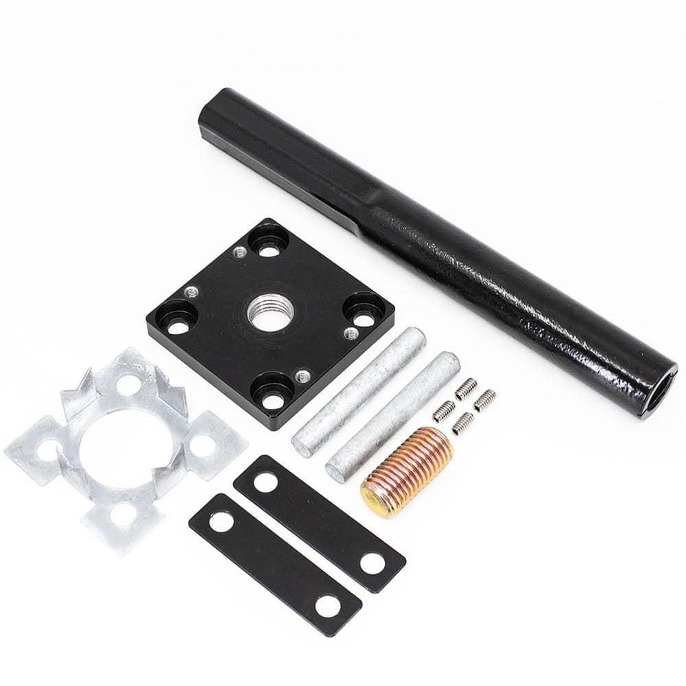 A single green leaf against a white background.