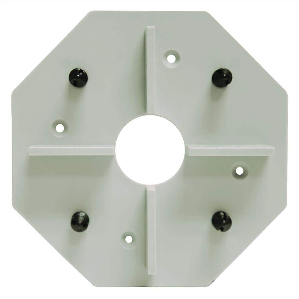 A single green leaf against a white background.