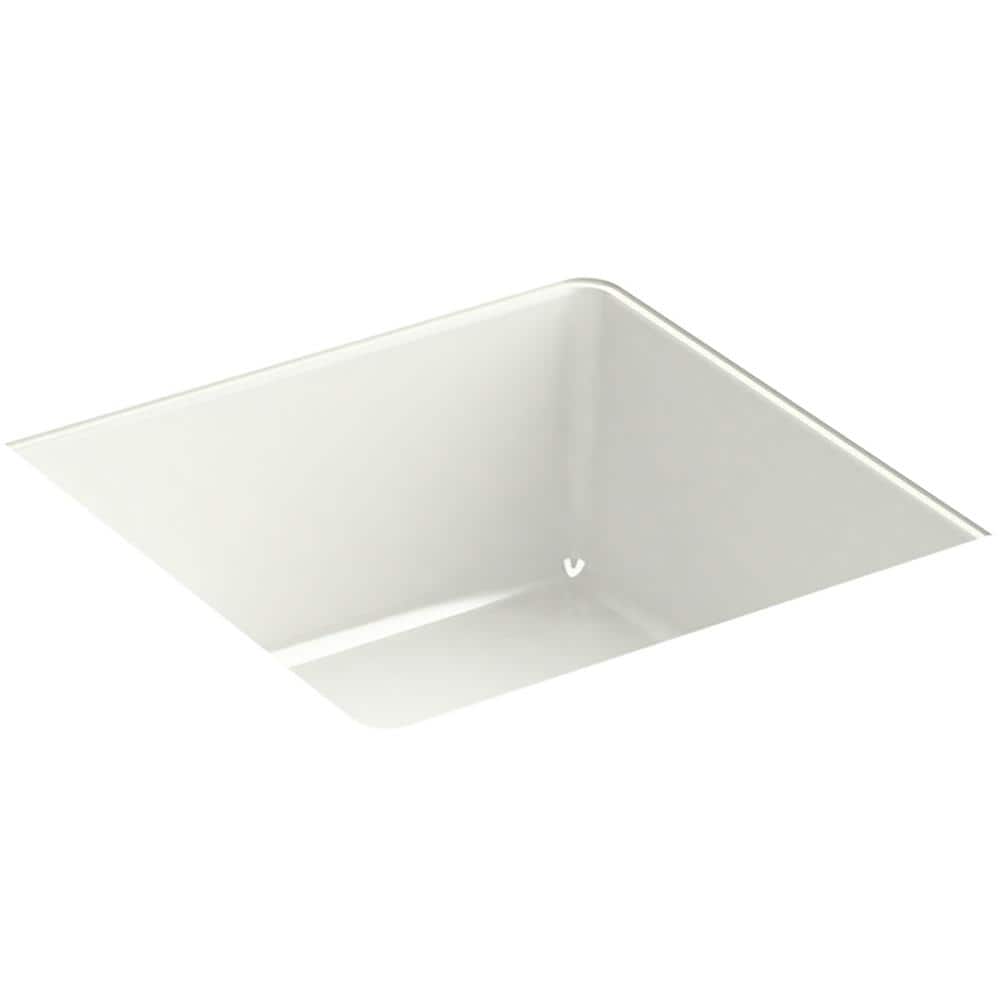 A single green leaf against a white background.