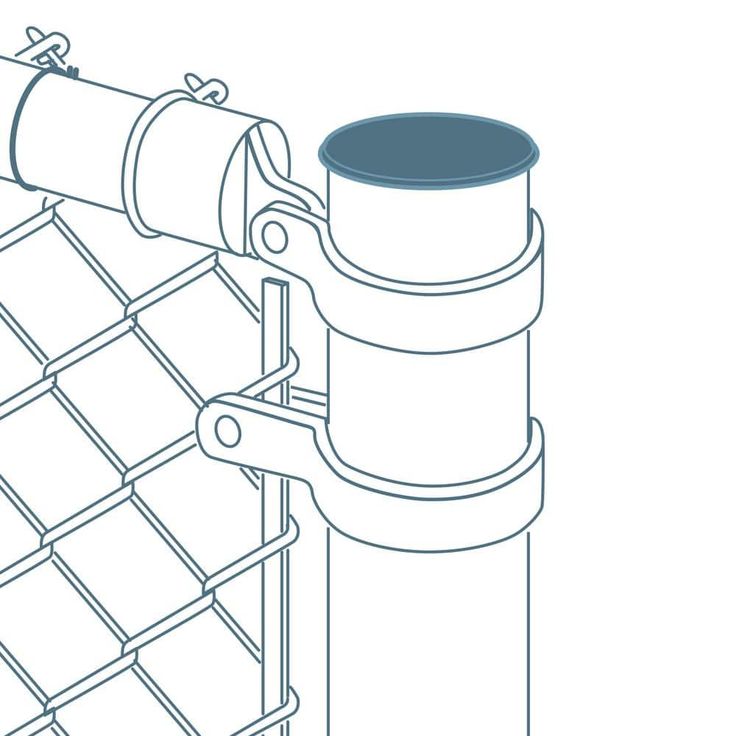 A single green leaf against a white background.