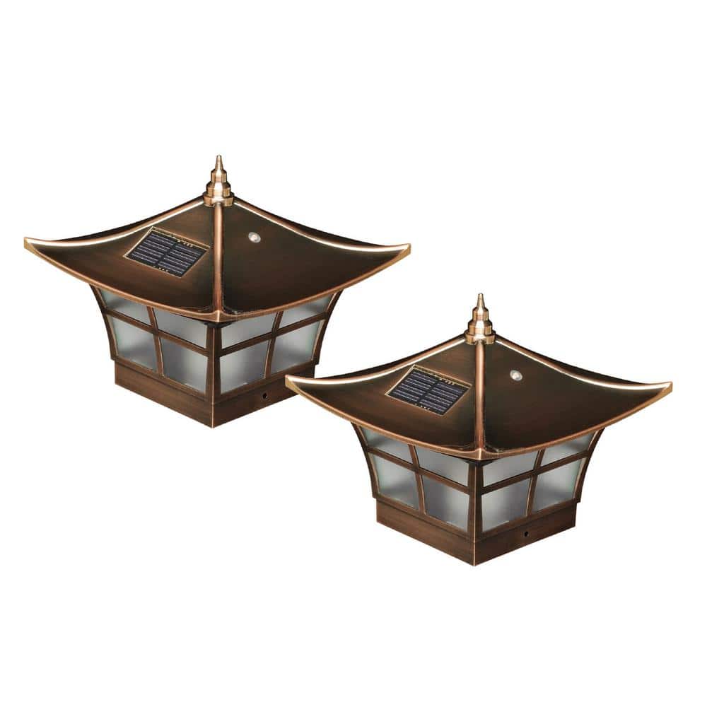 A single green leaf against a white background.