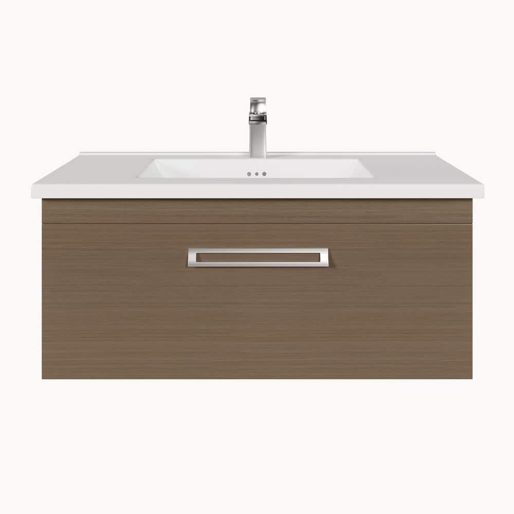 A single green leaf against a white background.