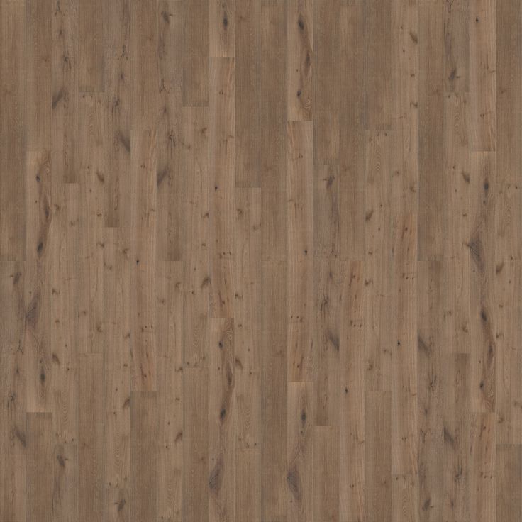 A single green leaf against a white background.