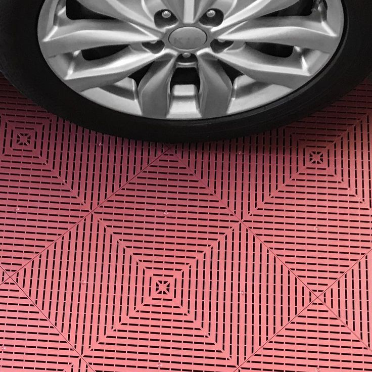 A single green leaf against a white background.