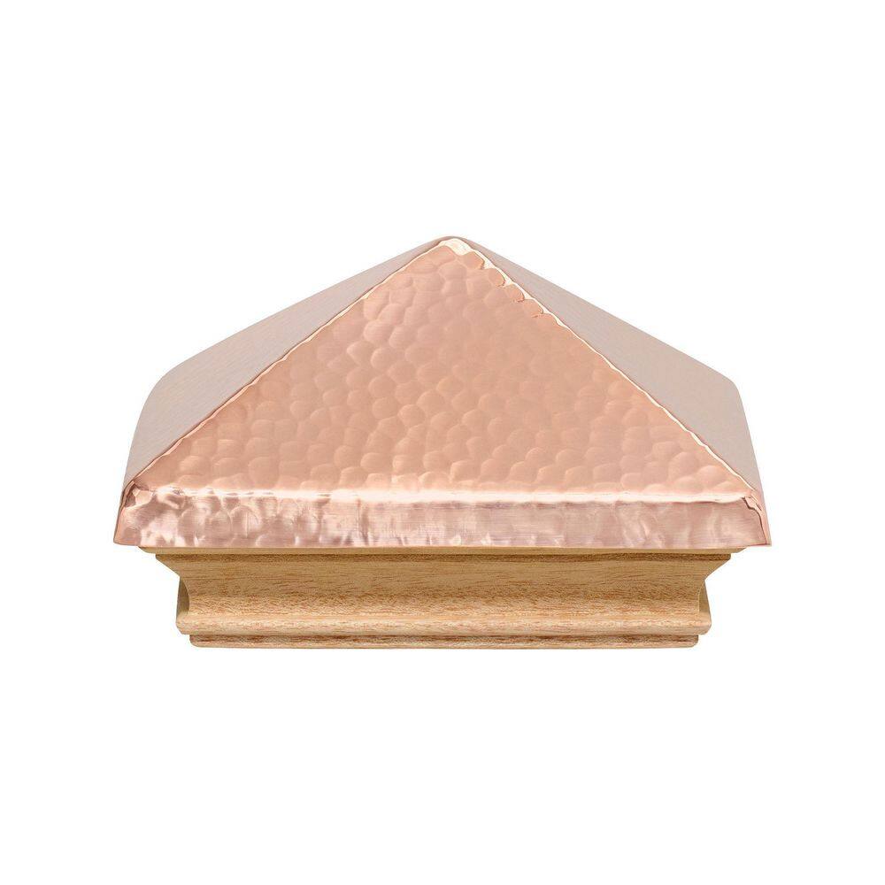 A single green leaf against a white background.