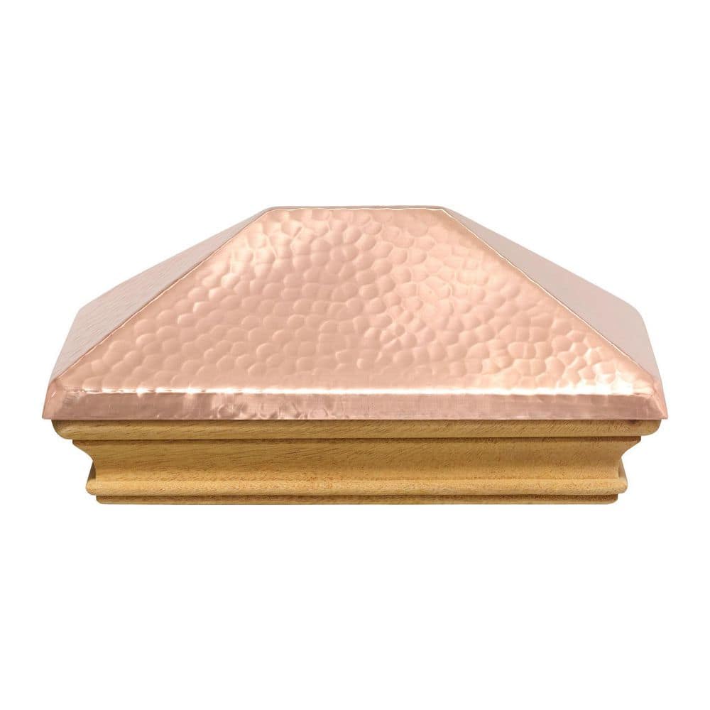 A single green leaf against a white background.