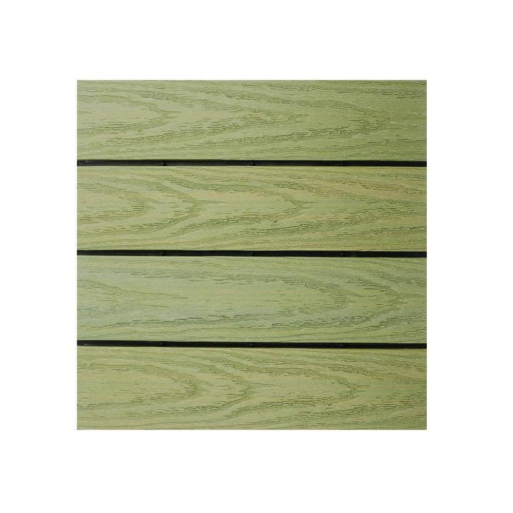 A single green leaf against a white background.