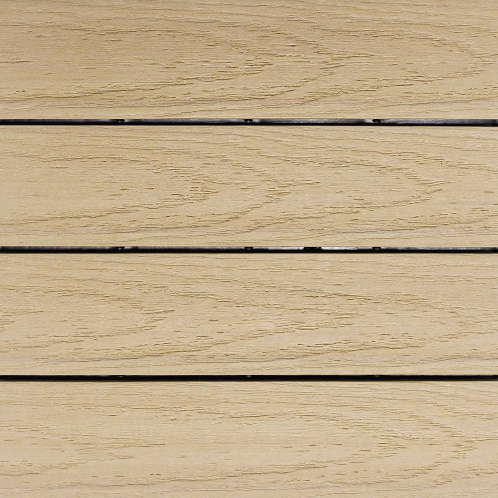 A single green leaf against a white background.